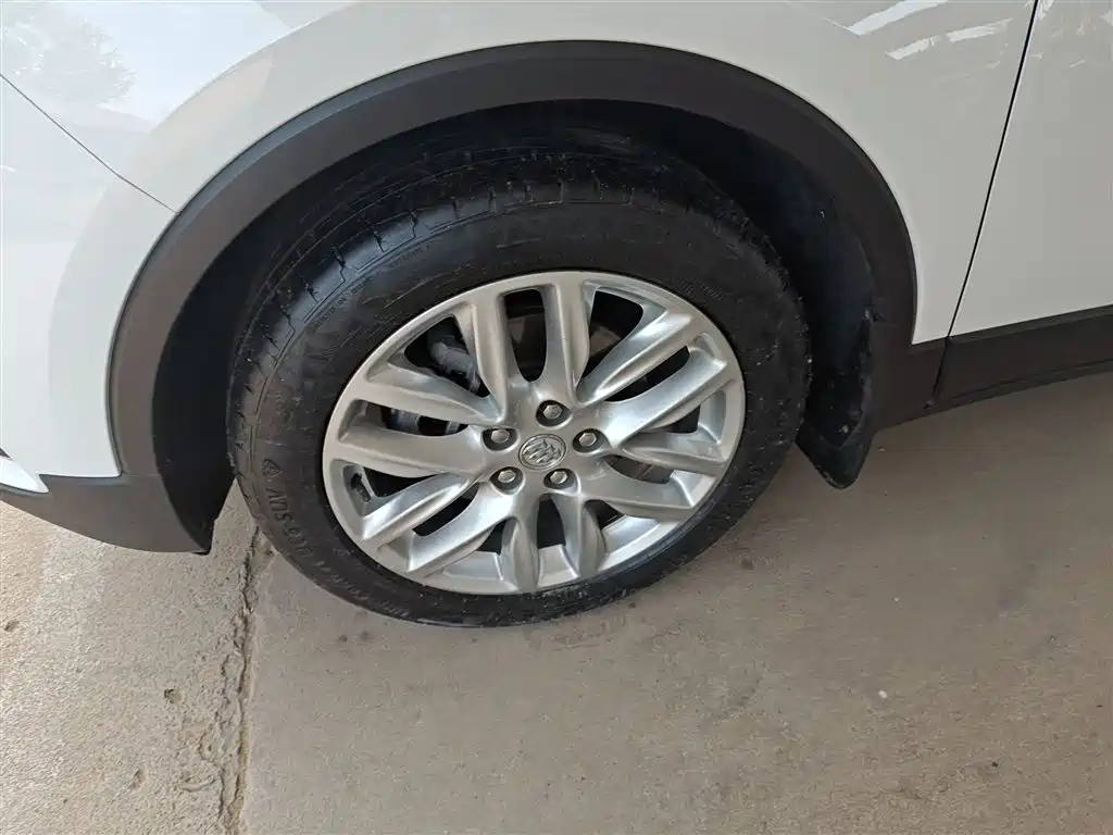 Buick Envision Plus 2019 28T 4WD Elite Type China V фото 23