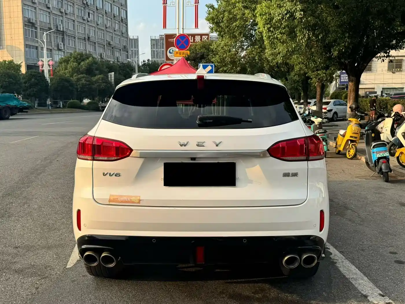WEY VV6 2019 2018 2.0T 4WD Flagship China V