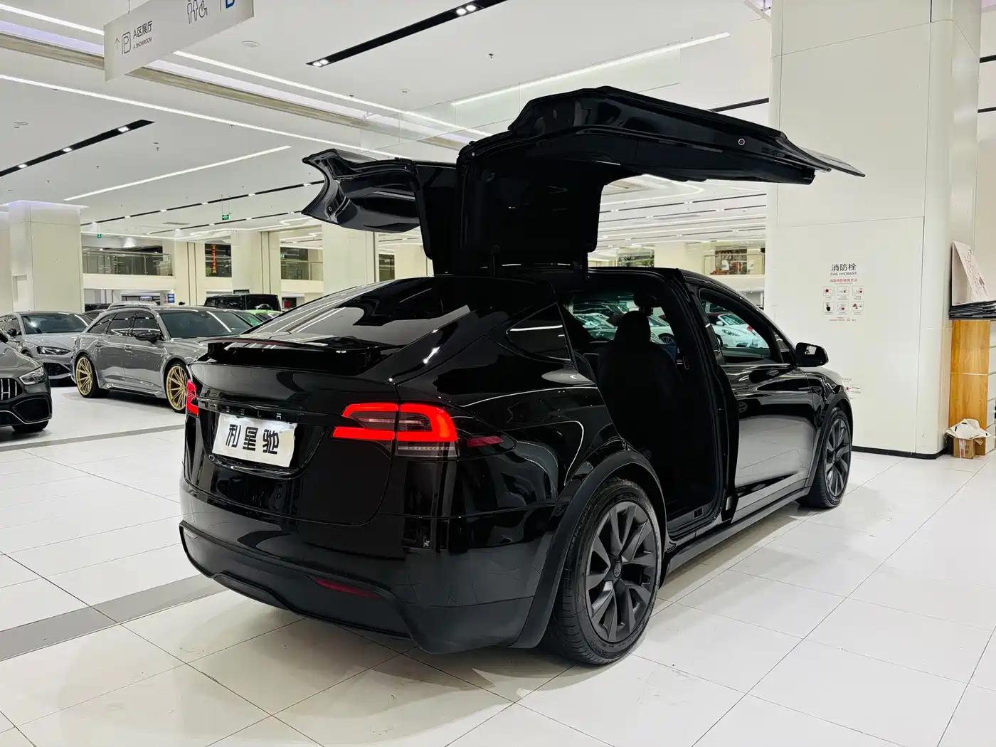 2025 Tesla Model X