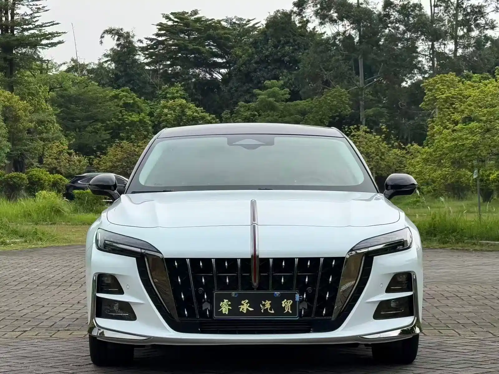 Фото 2 - Hongqi H6