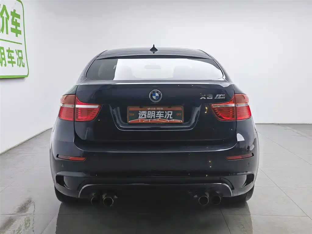 BMW X6 M 2010 X6 M фото 4