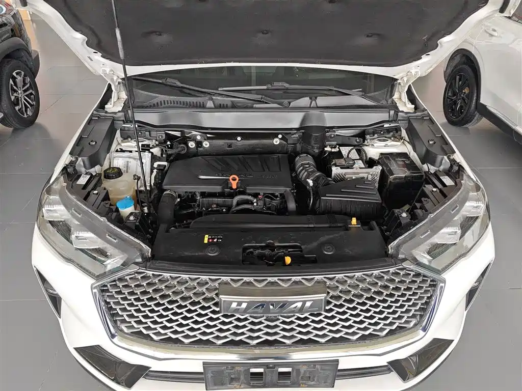 Haval H6 2021 3rd Generation 1.5T Auto 2WD Max фото 20