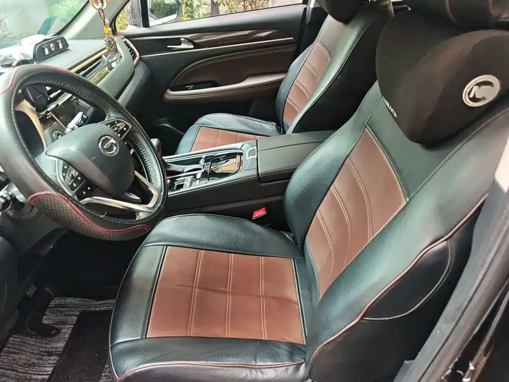 GAC Trumpchi Trumpchi GS5 2019 2019 270T Automatic Luxury