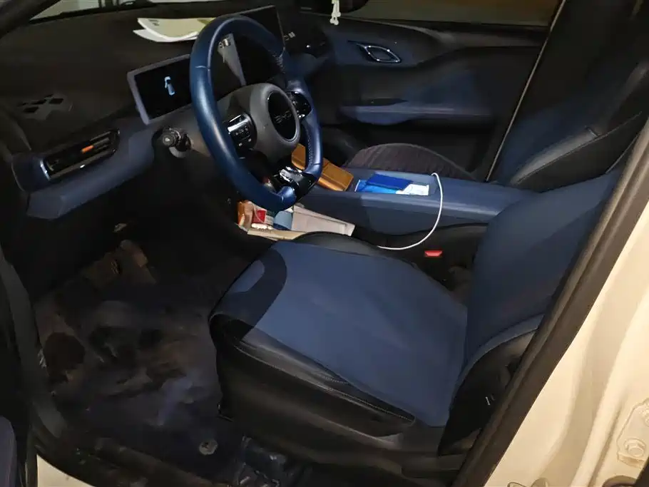 BYD Seagull 2024 Glory Edition 305km Freedom Edition фото 9