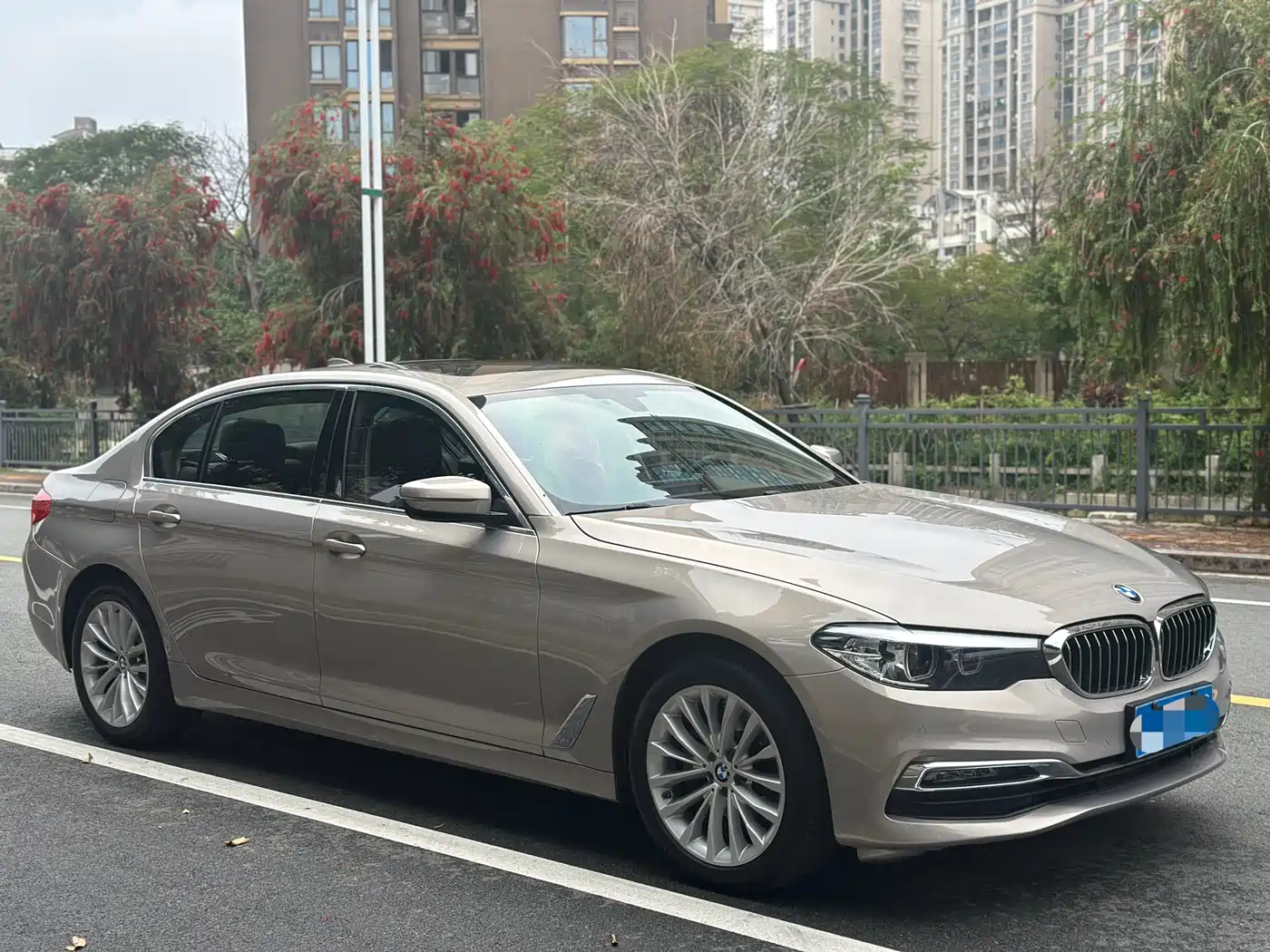 BMW 5 Series 2019 525Li Luxury Package фото 3