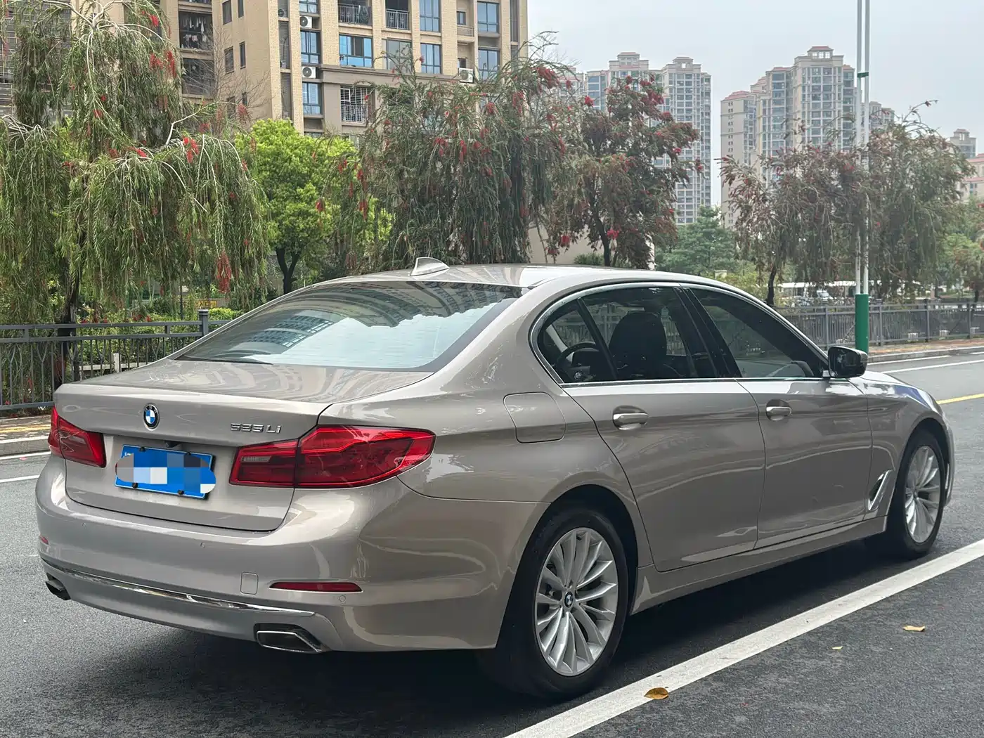 BMW 5 Series 2019 525Li Luxury Package фото 7
