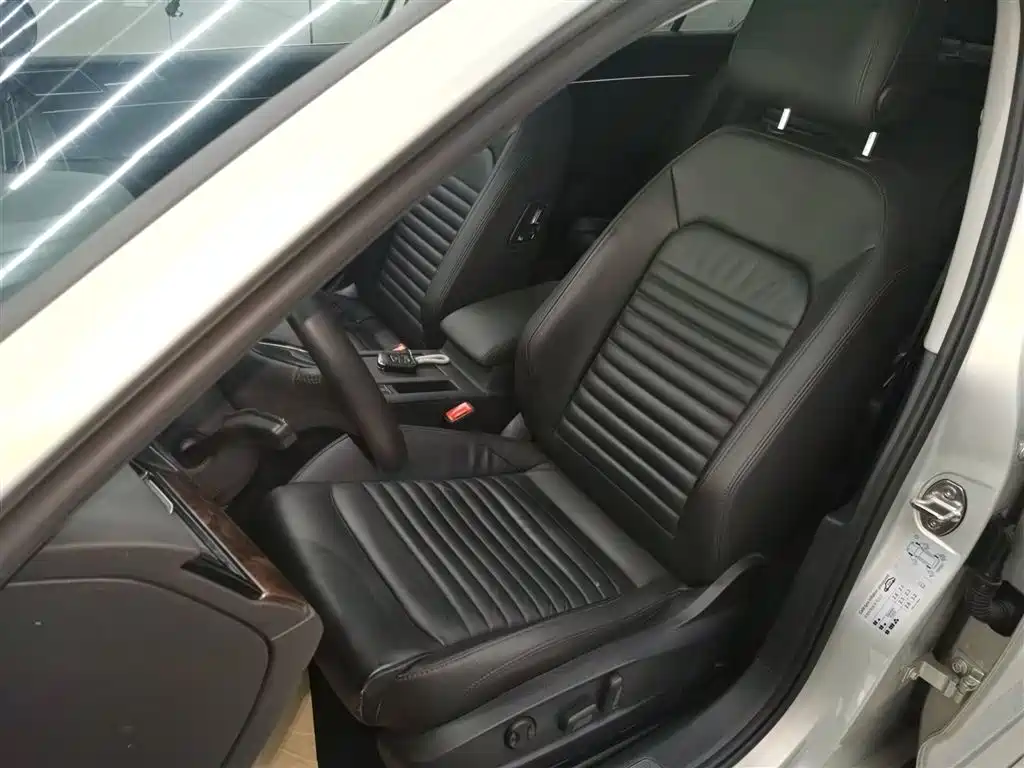 Volkswagen Magotan 2019 330TSI DSG Luxury China V фото 15