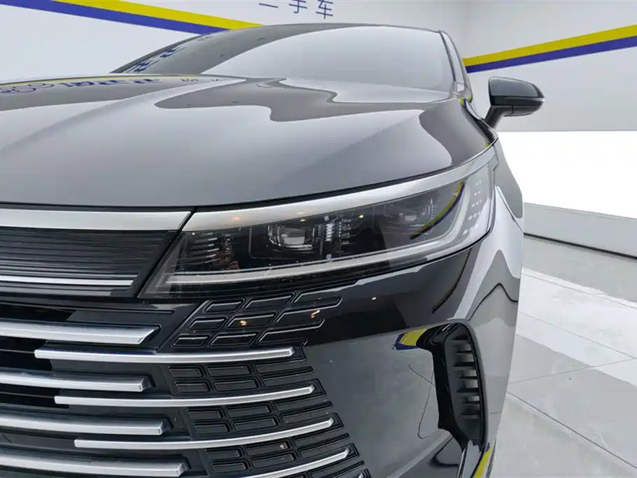 BYD Destroyer 05 2024 Glory Edition DM-i 120KM Luxury фото 5