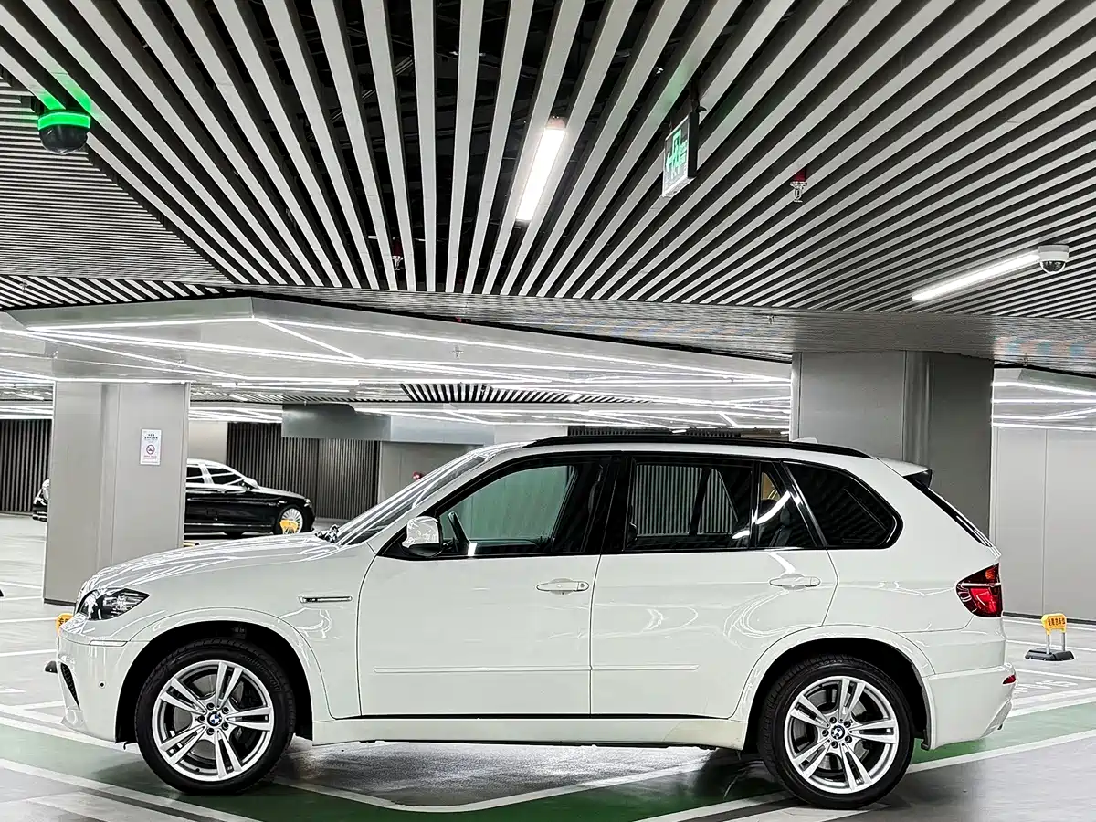 BMW X5 M 2010 X5 M фото 9