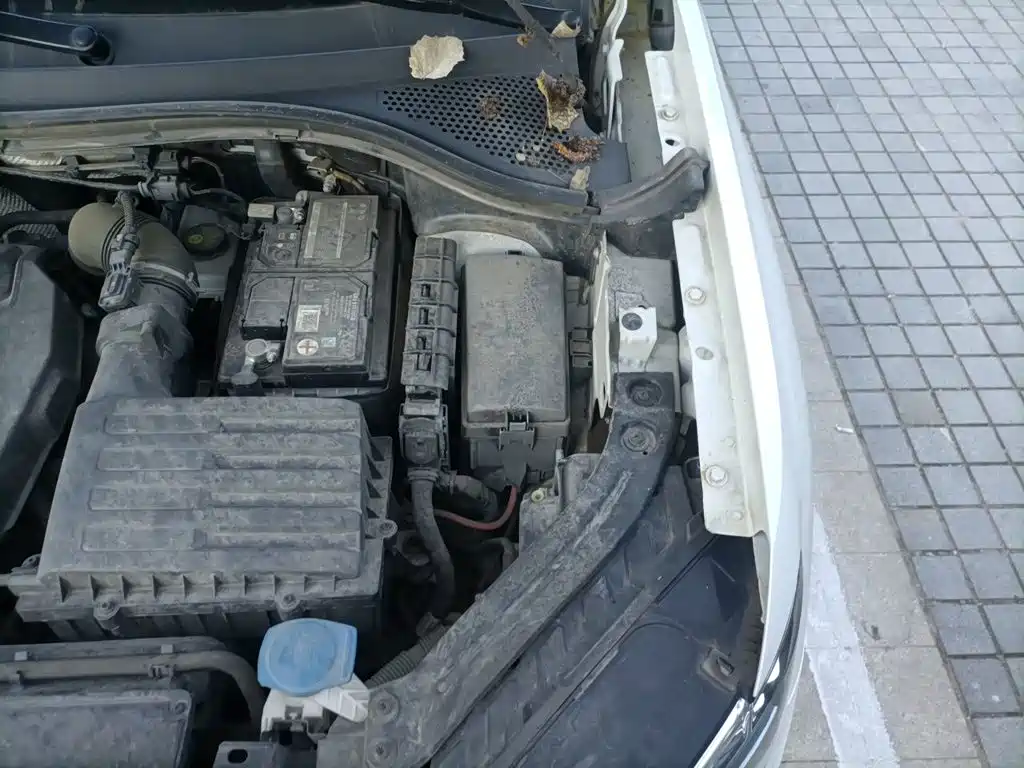 Фото 21 - Volkswagen Tayron