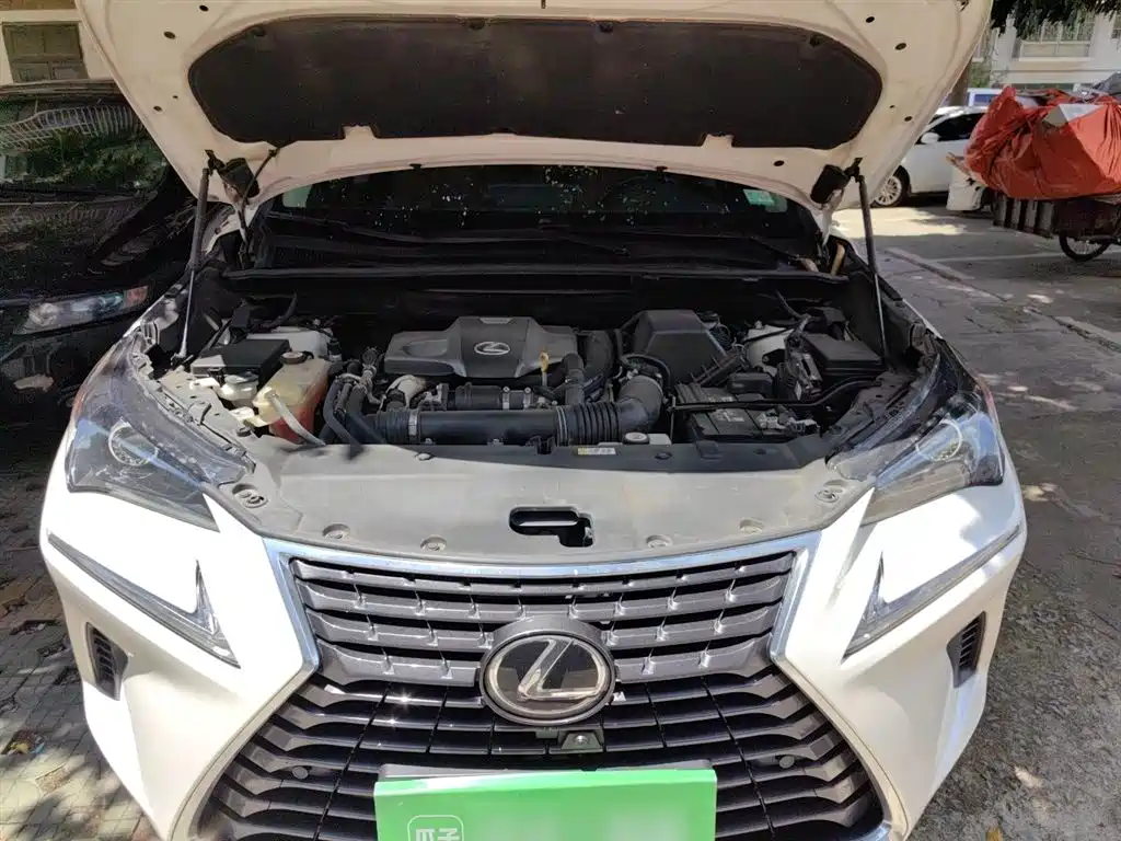 Lexus NX 2018 Model 300 FWD Fengxing Edition фото 17