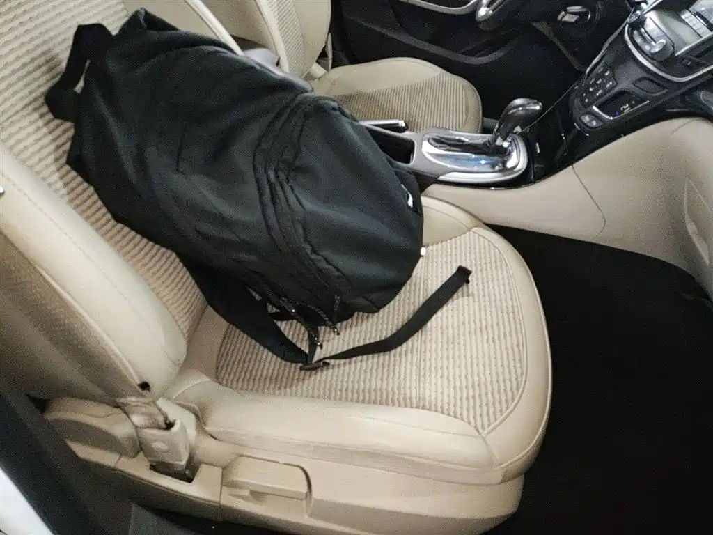 Buick Regal 2015 2.0L Leading Fashion Model фото 4