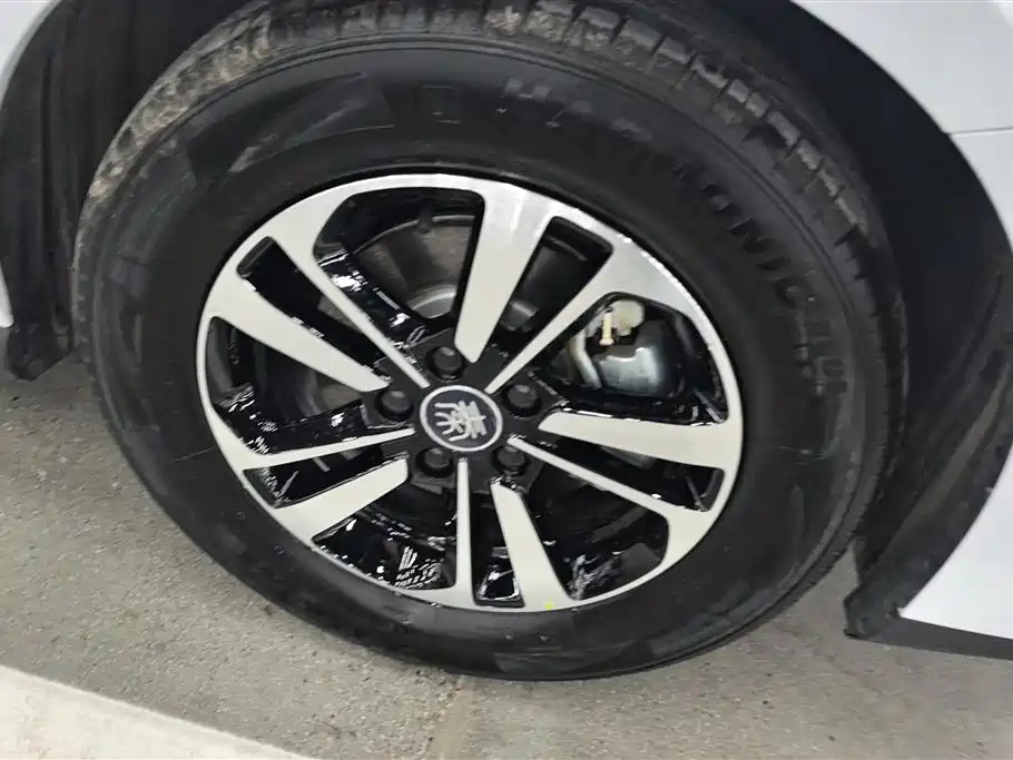 BYD Qin PLUS 2025 DM-i Smart Drive 55KM Leader фото 6