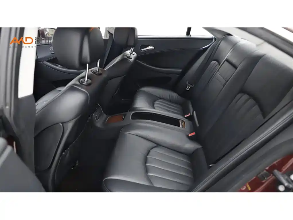 Mercedes-Benz CLS 2009 CLS 300 фото 7