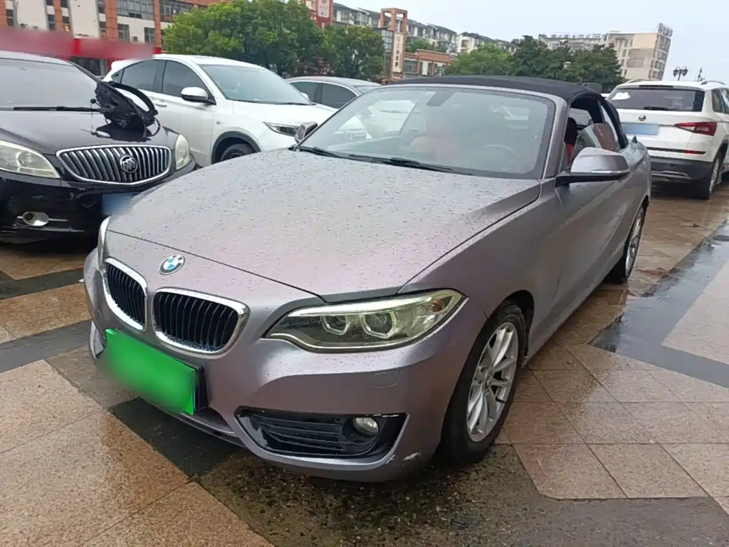 Photo 1 - BMW 2 Series (Import)