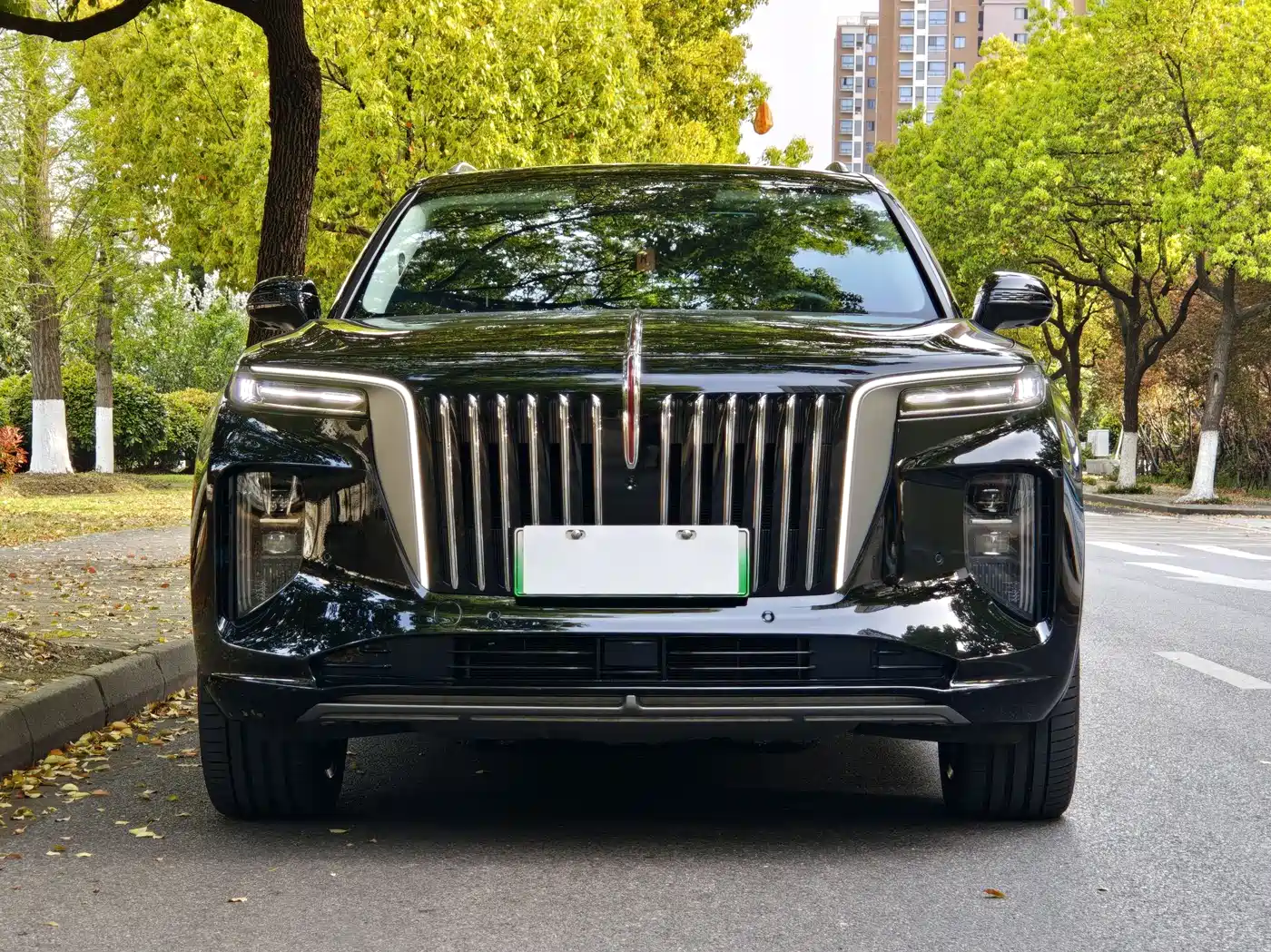 Hongqi HONGQI E HS9