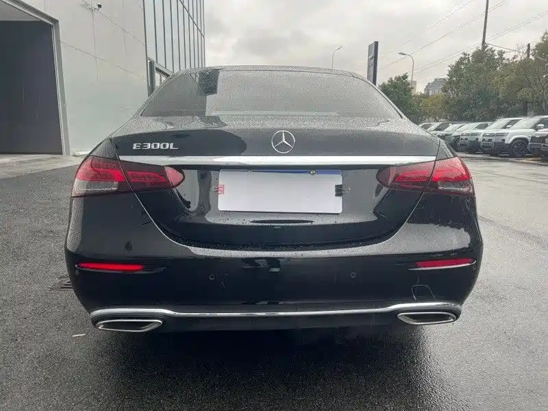 Mercedes-Benz E-Class 2023 E 300 L Luxury фото 10