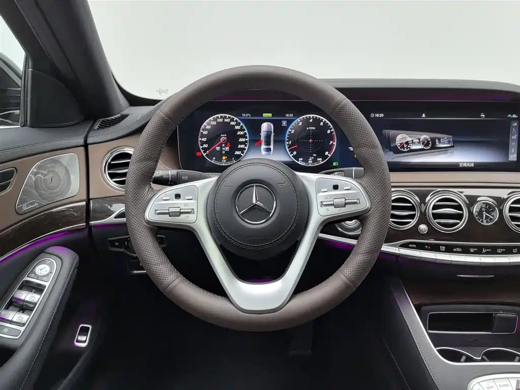 Mercedes-Benz S-Class 2020 S 350 L Business Edition Collector's Version фото 11