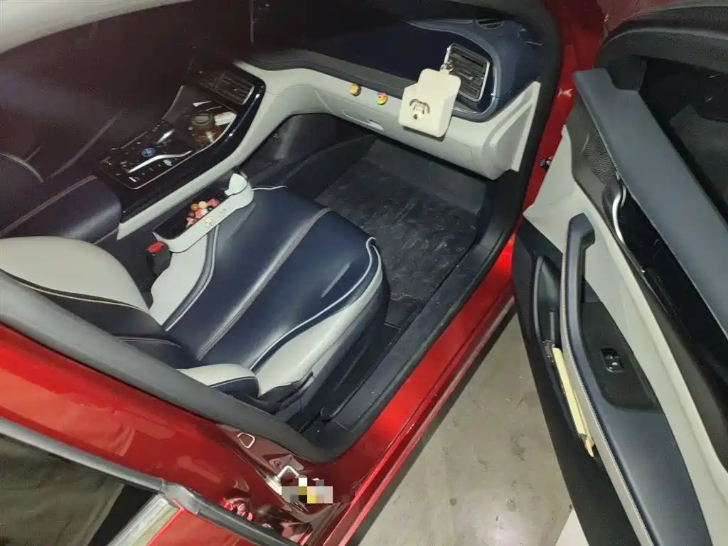 BYD Qin PLUS 2021 DM-i 55KM Flagship фото 22