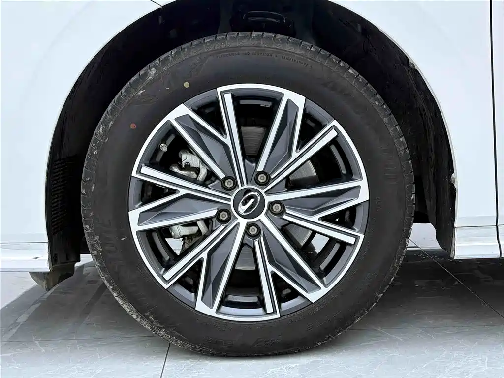 GAC Trumpchi Trumpchi M8 2024 Leadershow Series 390T Premium Edition фото 9