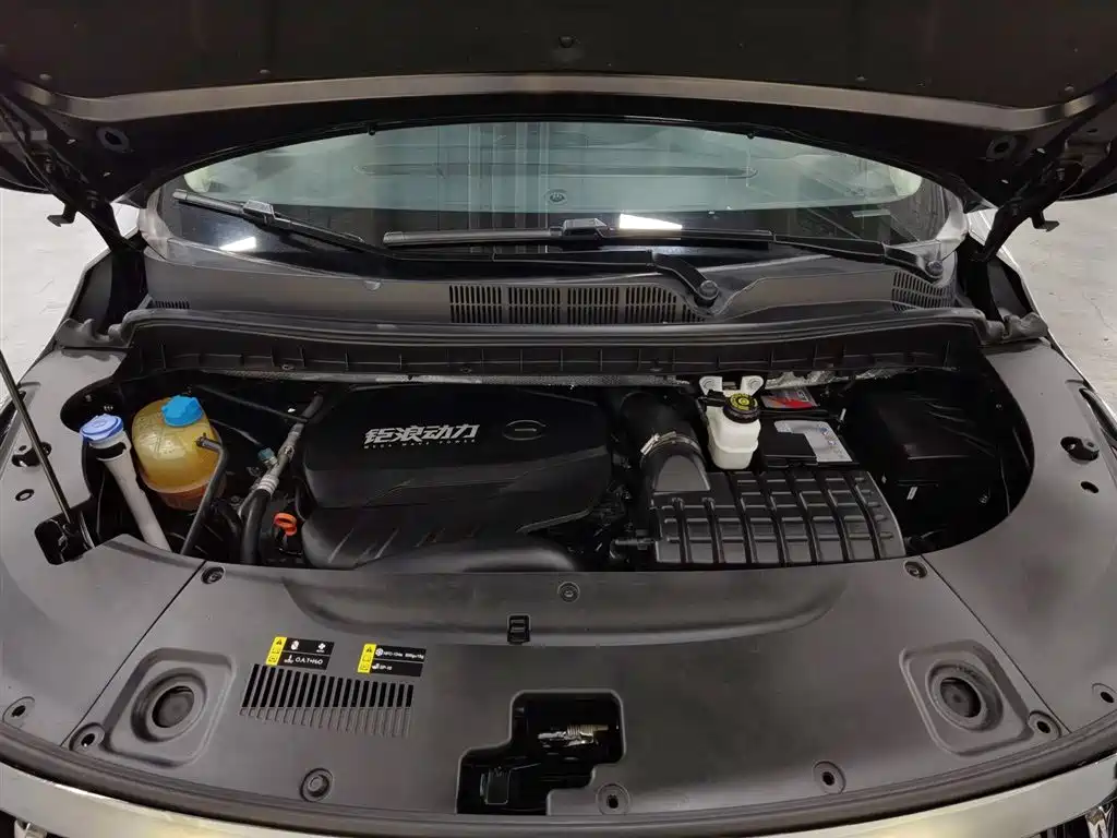 GAC Trumpchi Trumpchi M8 2021 Master Series 390T 4-Seat Premium Edition фото 6