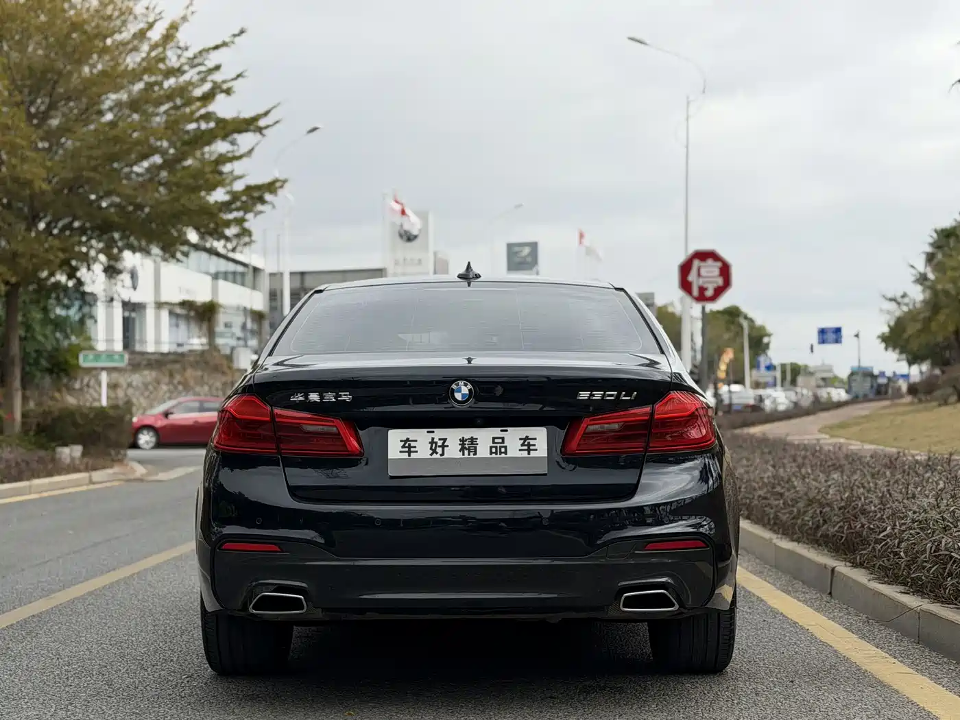 BMW 5 Series 2018 Facelift 530Li Leading M Sport Package фото 13