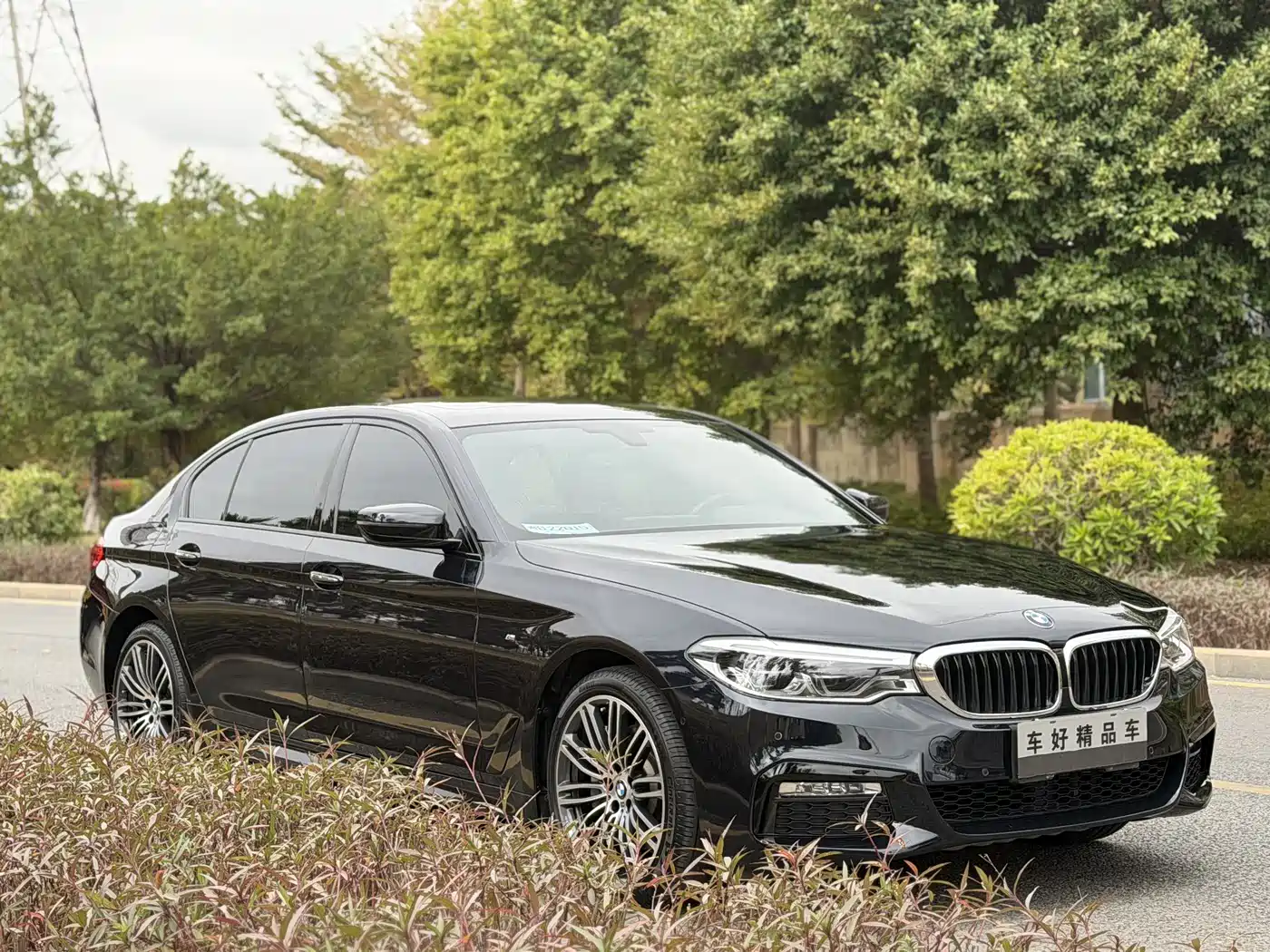 BMW 5 Series 2018 Facelift 530Li Leading M Sport Package фото 2