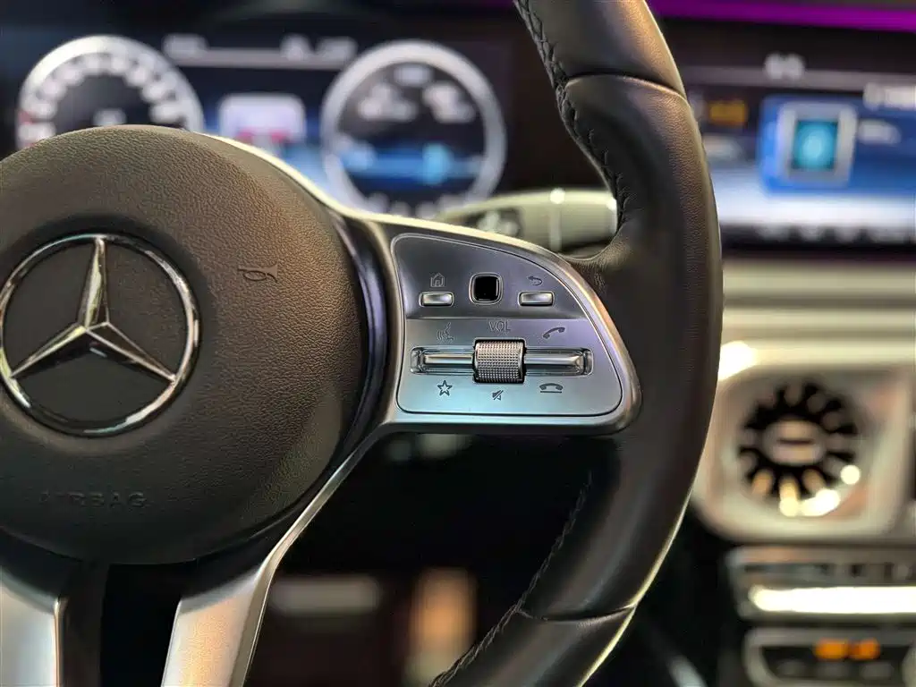 Mercedes-Benz G-Class 2022 G 500 фото 24