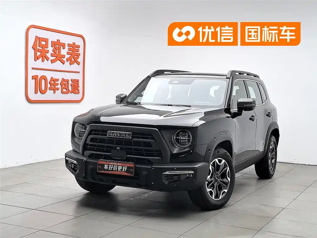 Haval Big Dog 2024 2.0T DCT Chinese Rural Dog Edition