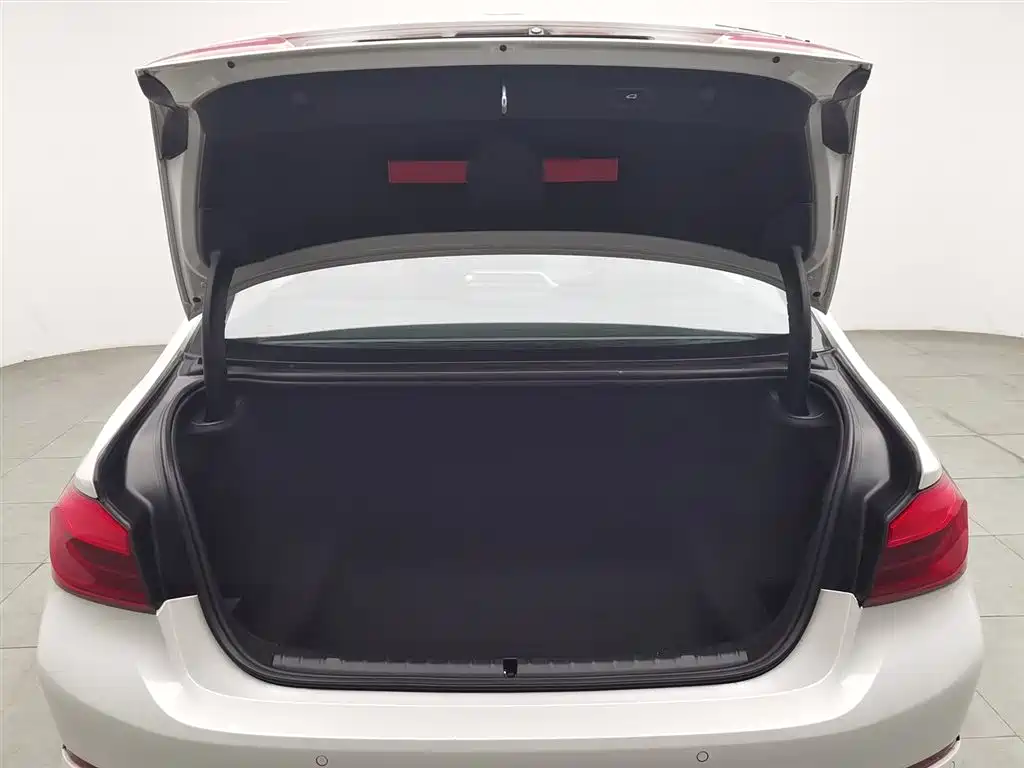 BMW 5 Series 2020 530Li Leading Luxury Package фото 16