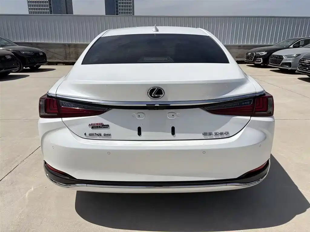 Lexus ES 2022 200 Luxury Edition фото 7