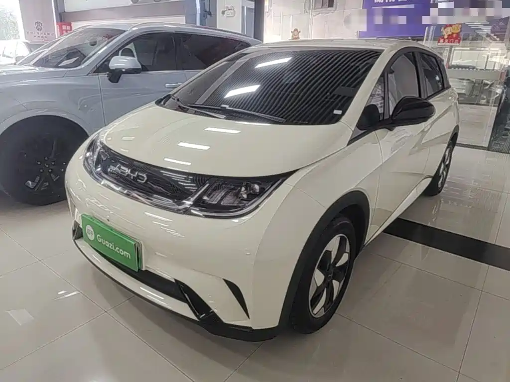 2026 BYD Dolphin