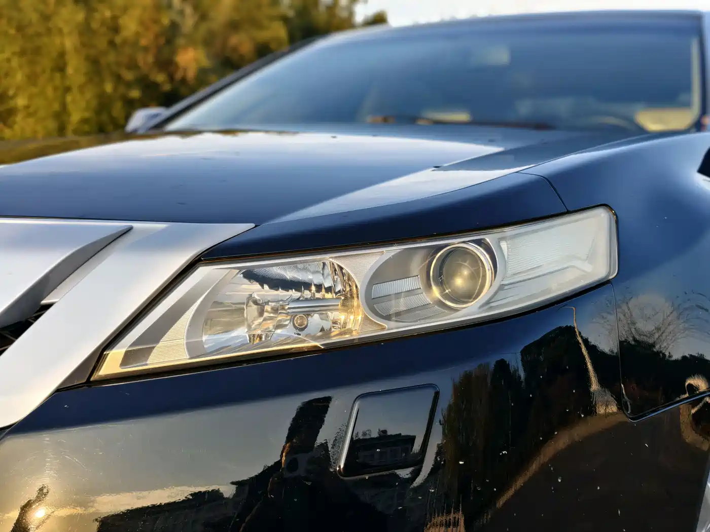 Acura TL 2010 3.5 Premium Edition фото 3