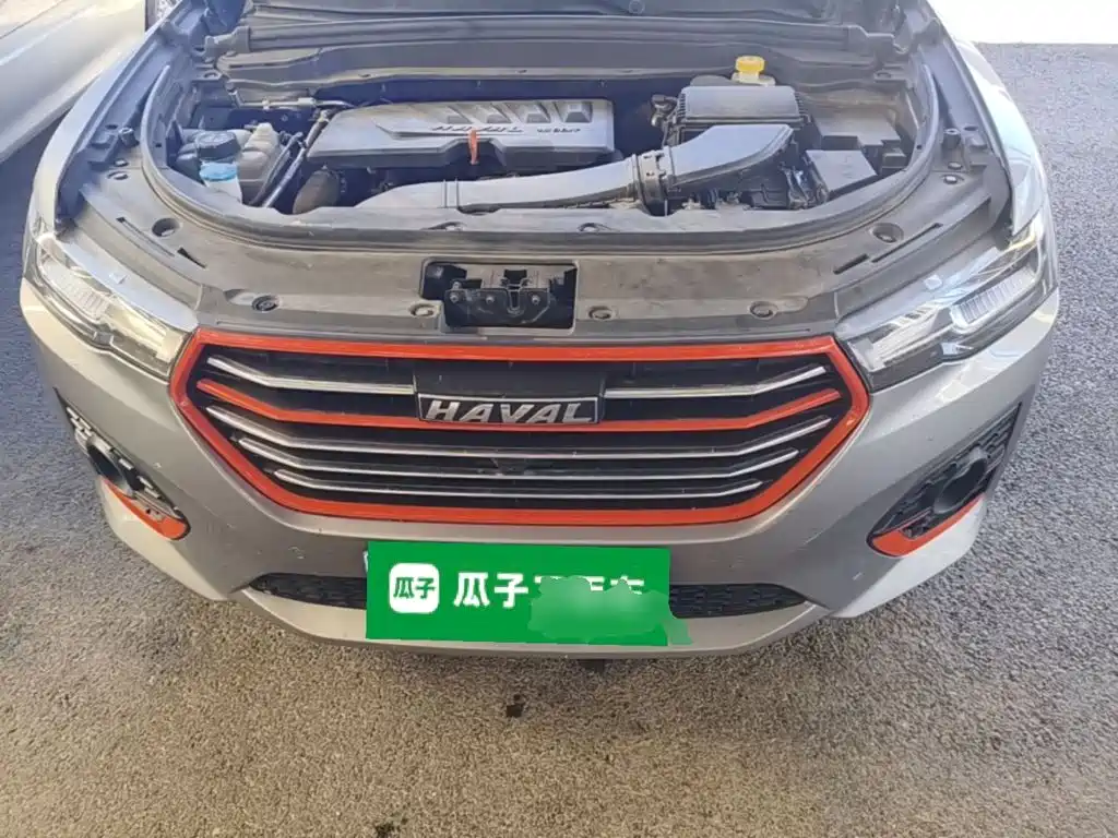 Haval H4 2021 2019 1.5GDIT Pro Edition China VI