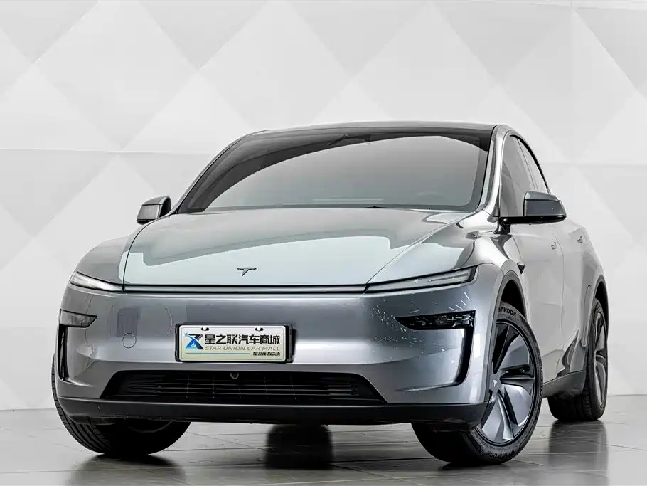 Tesla Model Y, миниатюра 2