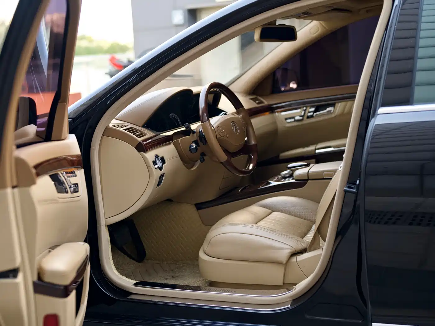 Mercedes-Benz S-Class 2010 S 600 L фото 8