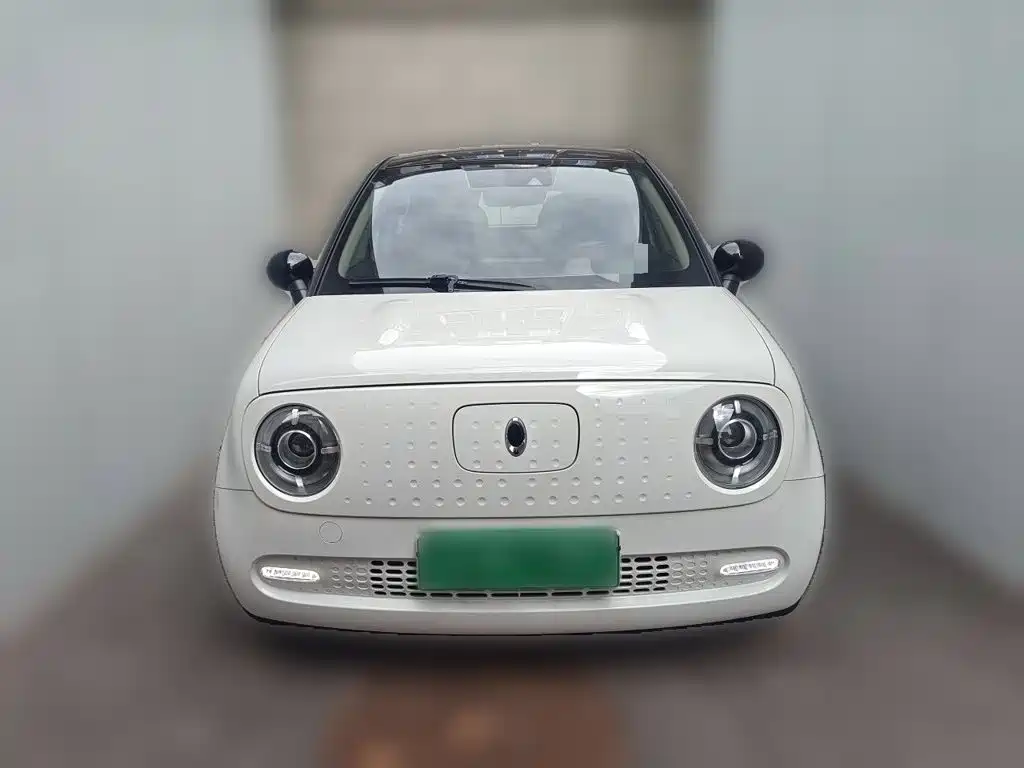 Ora Black Cat 2020 2021 351km Luxury Model