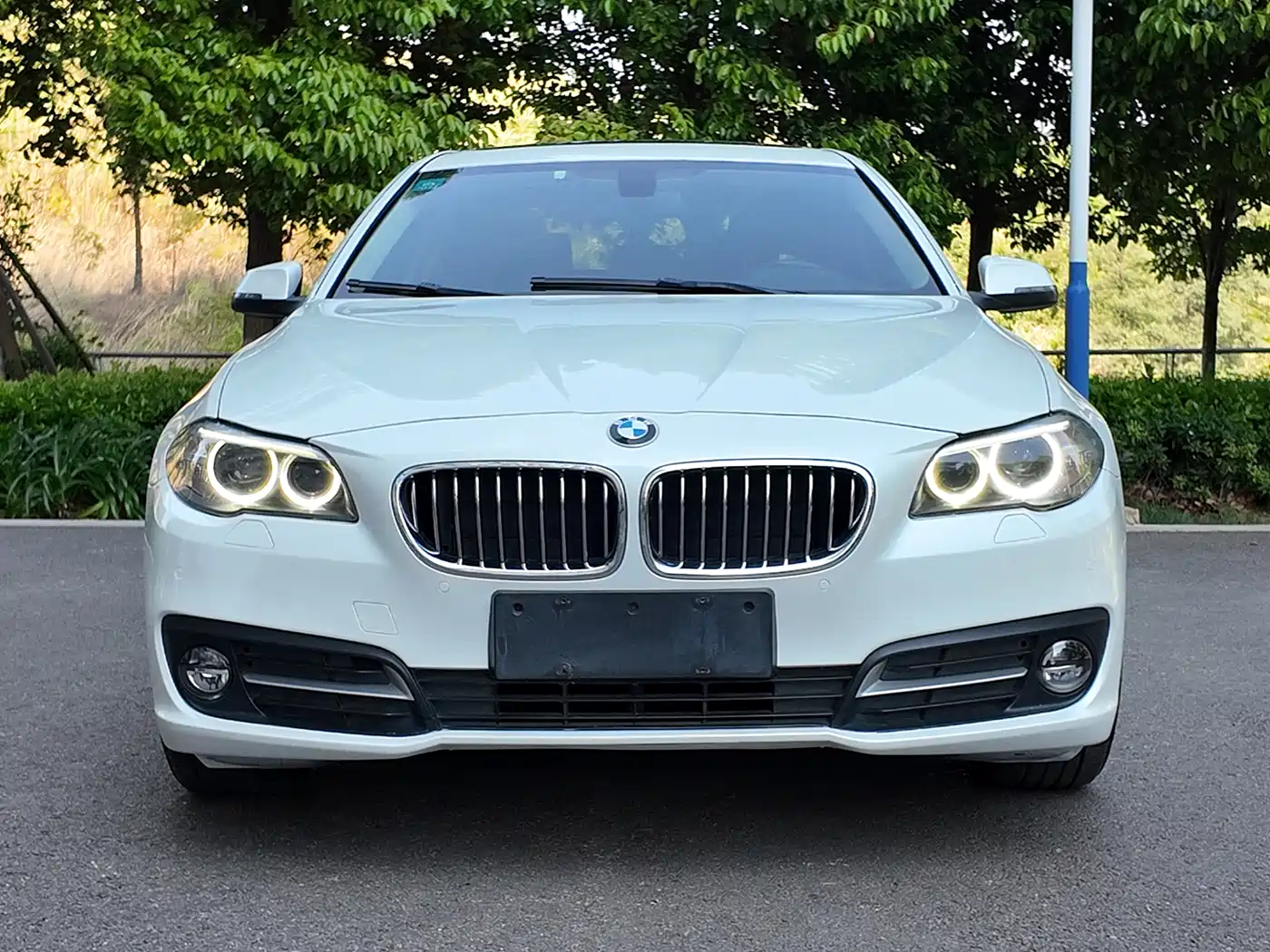 BMW 5 Series 2014 520Li Elegance фото 3