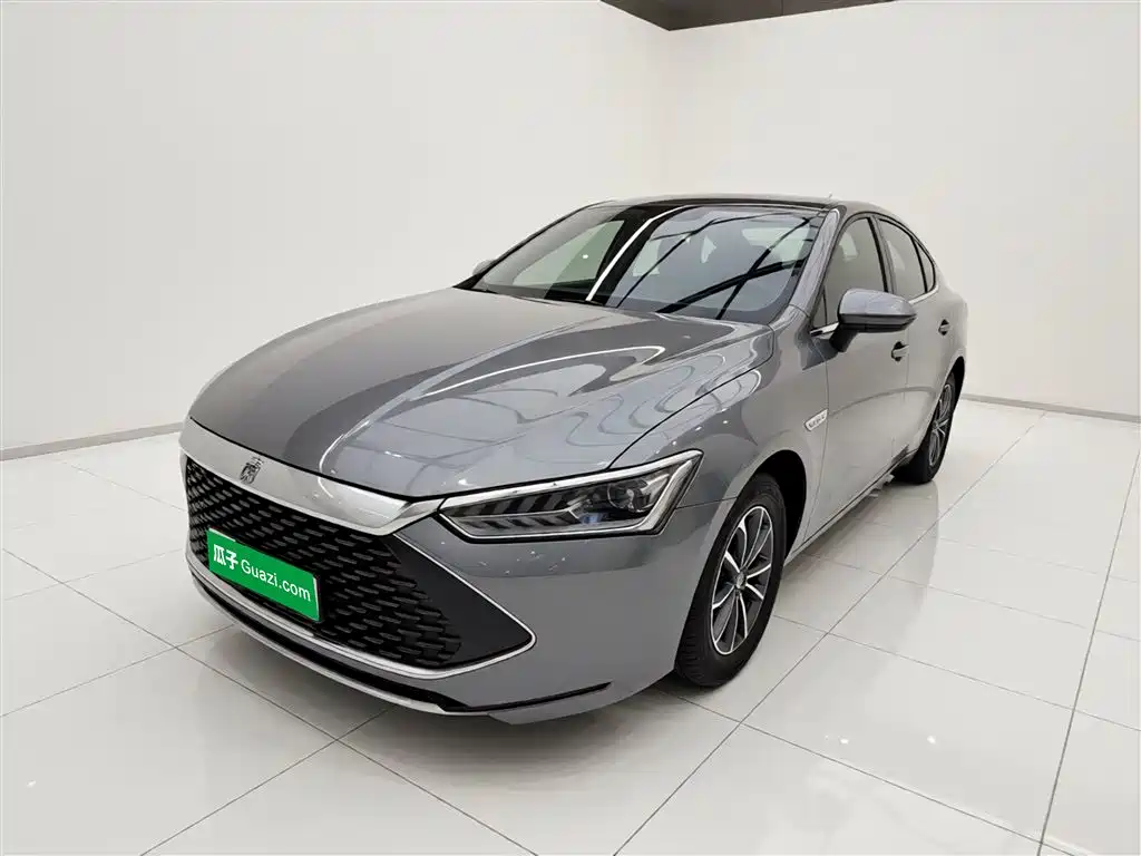 BYD Qin PLUS 2024 Glory Edition DM-i 55KM Leading