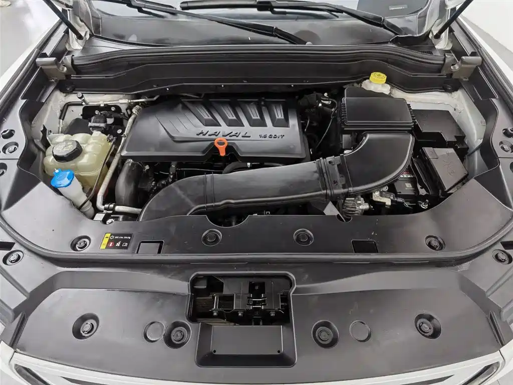Haval H6 2019 1.5GDIT Automatic Champion Edition China VI фото 6