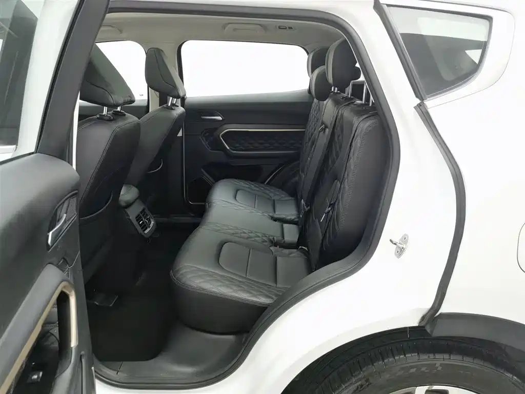 Haval H6 2020 1.5GDIT Automatic Platinum Champion Edition фото 15