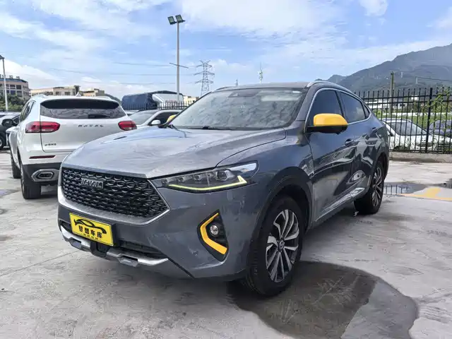 Haval Haval F7x 2019 2.0T 4WD Performance Edition