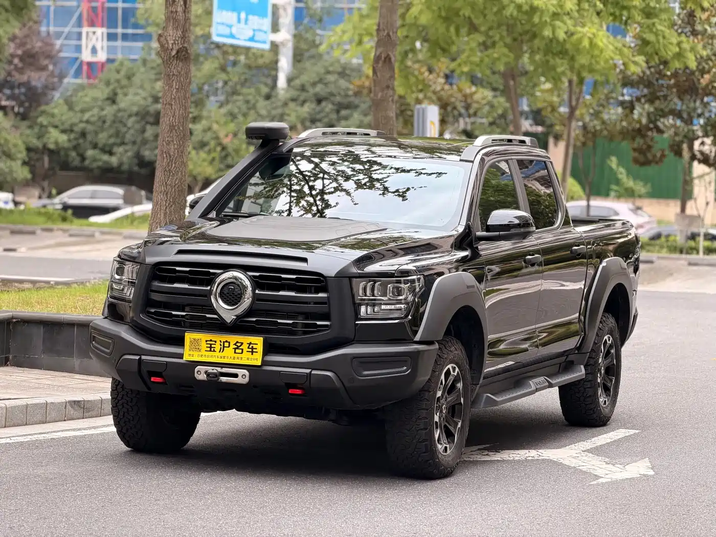 Great Wall Shanhai Cannon 2024 2023 3.0T V6 Gasoline Performance Edition