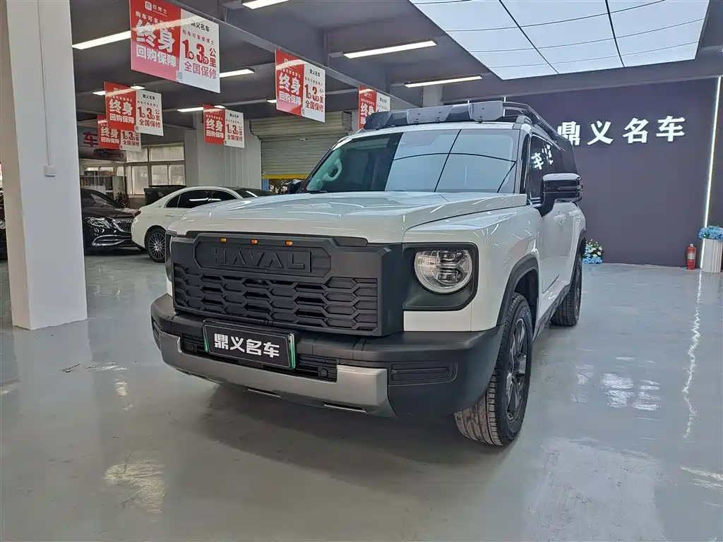 HAVAL RAPTORS NEW ENERGY