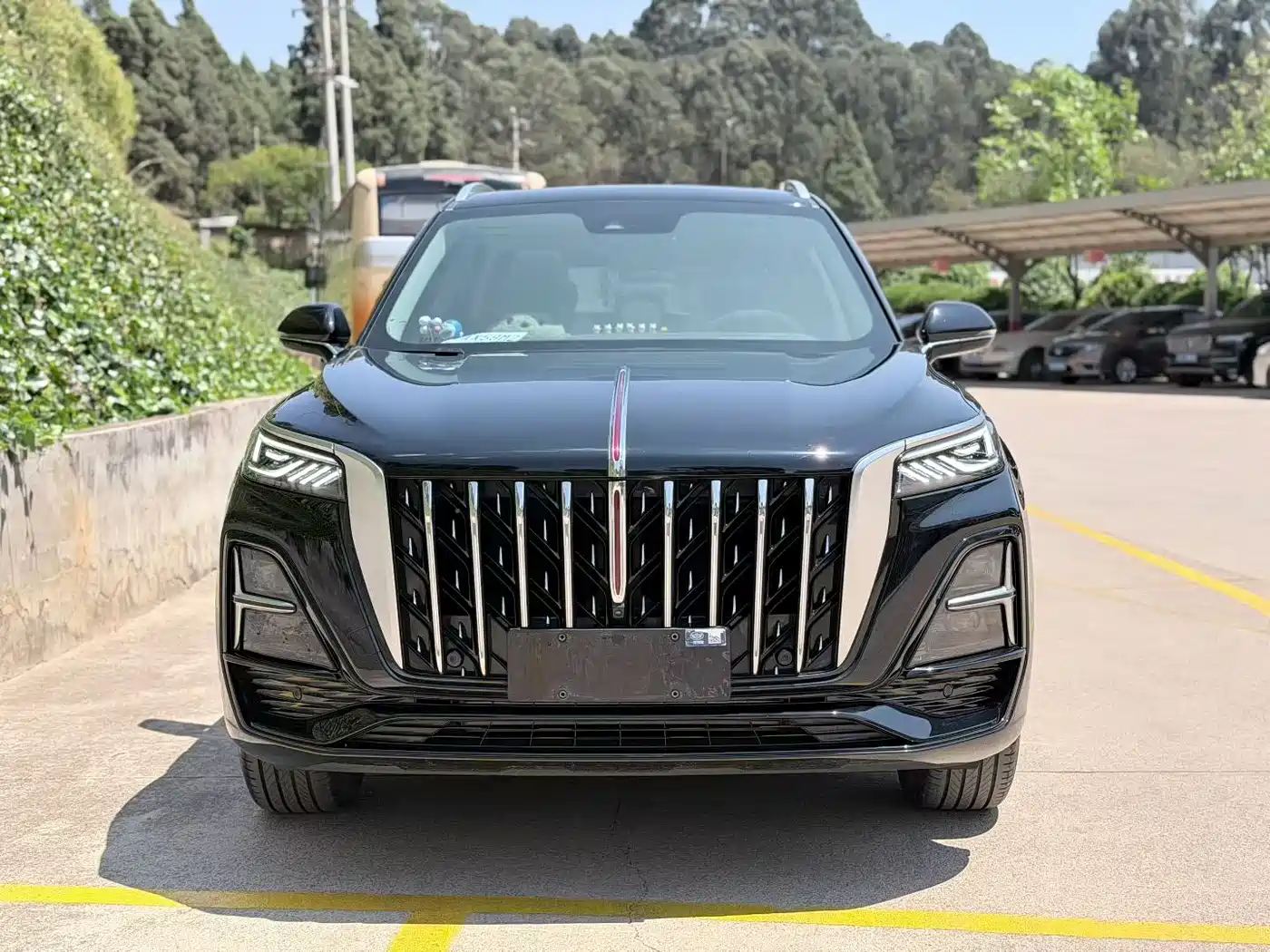 Hongqi HS5 2025 2.0T 2WD Qixiang Pro фото 2