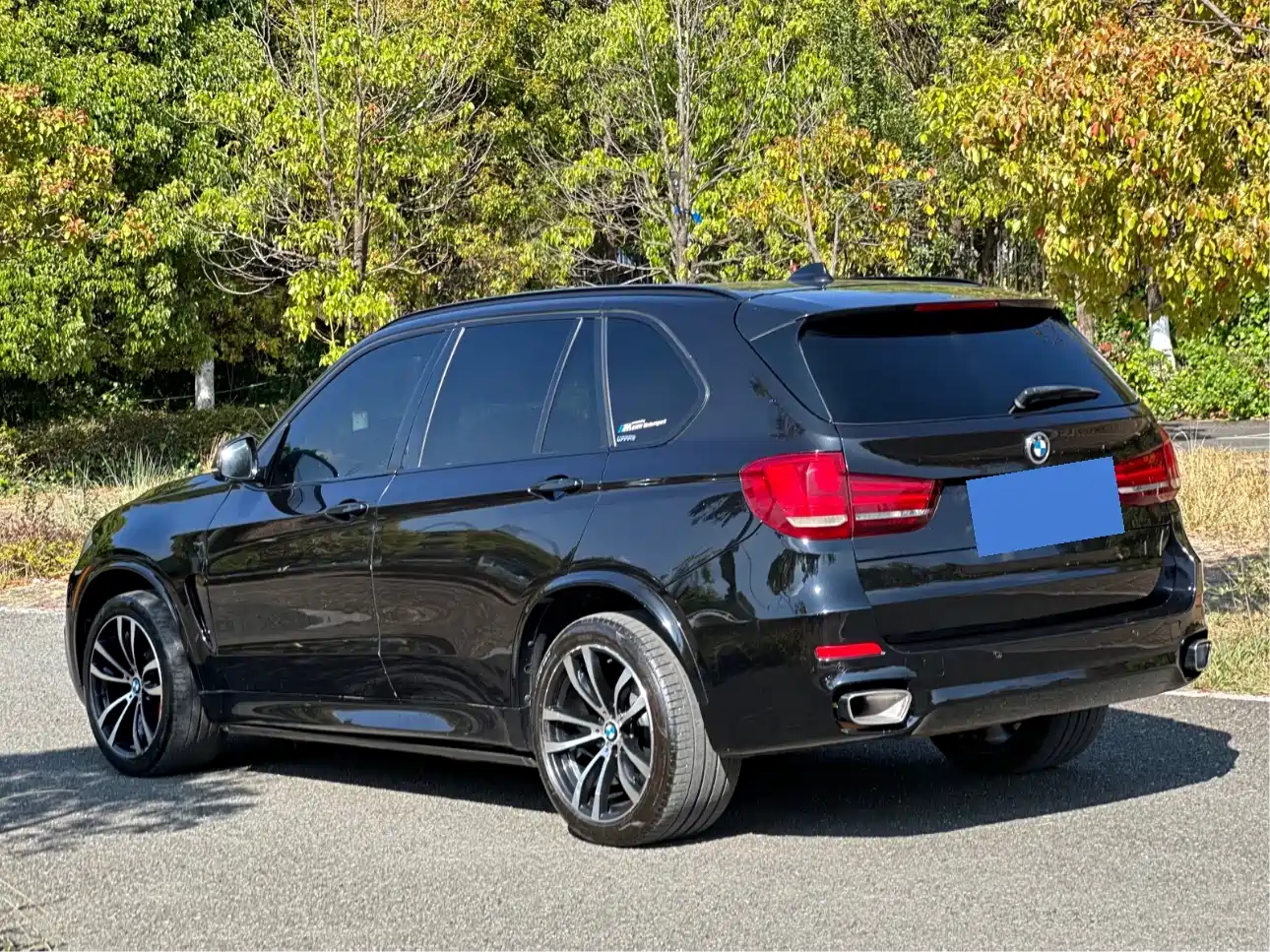 BMW X5 (Import) 2017 xDrive35i Leading Edition фото 23