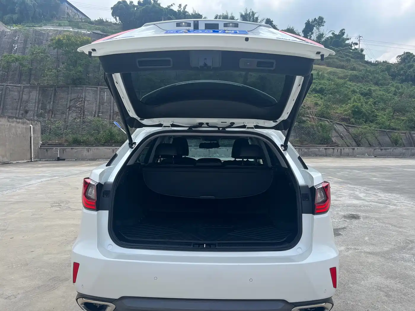 Фото 9 - Lexus RX
