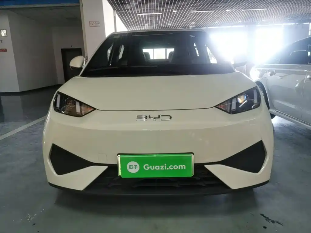 BYD Seagull 2026 2025 Smart Drive Edition 305km Vitality Version