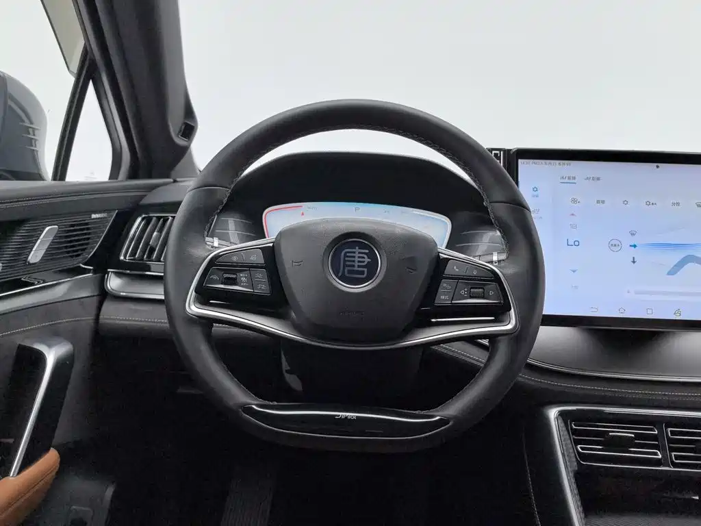 صورة 11 - BYD Tang New Energy
