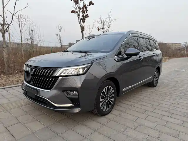 WULING WULING JIACHEN